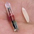 Microchip rfid rice, Author=Lightwarrior2, volné dílo Microchip rfid rice, Author=Lightwarrior2, volné dílo
